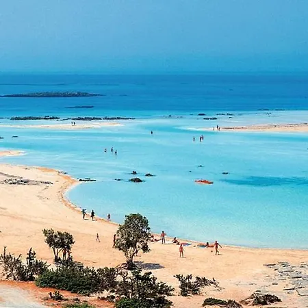 Rena's Chania Center